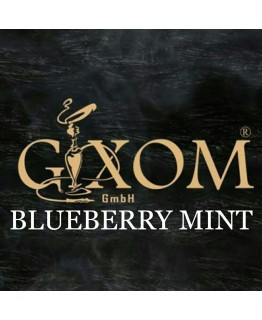 Табак GIXOM Blueberry Mint 200 гр