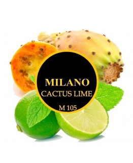 Табак Milano Cactus Lime M105 100 гр