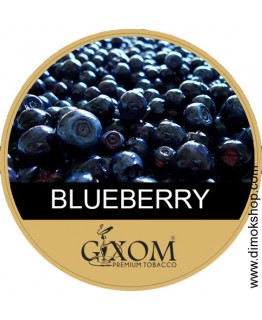 Табак GIXOM Blueberry 200 гр